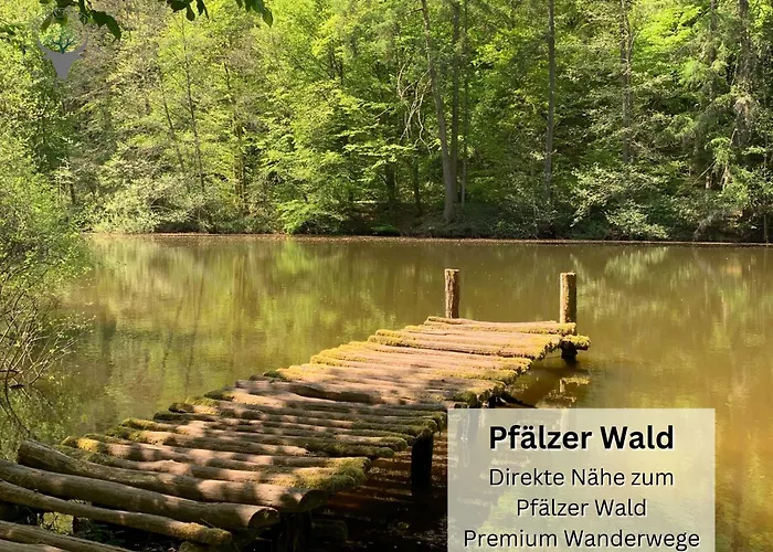 Easypartment Am Pfaelzer Wald Naehe Outlet Center Zweibruecken Pirmasens
